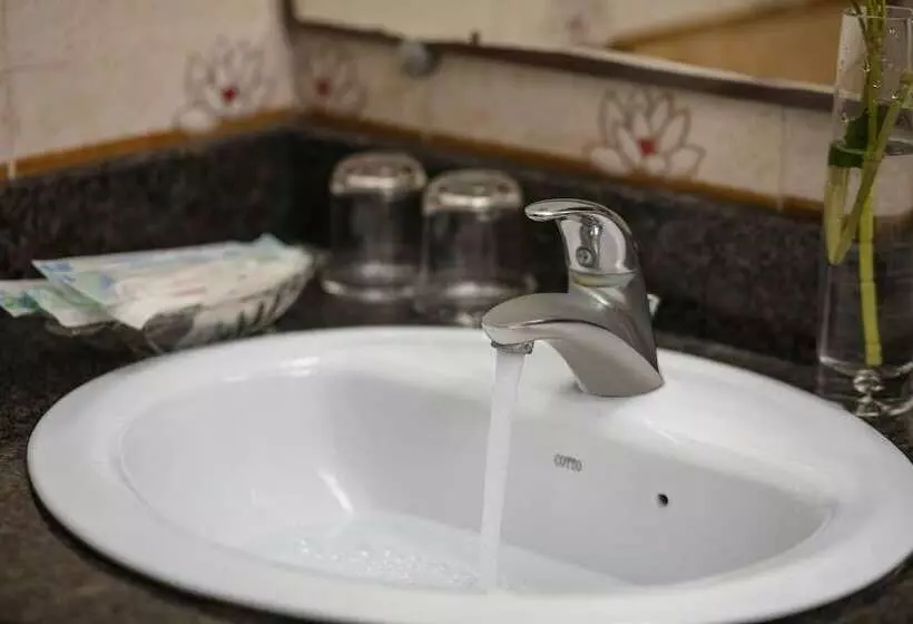 Fotos del hotel Little Diamond:  5