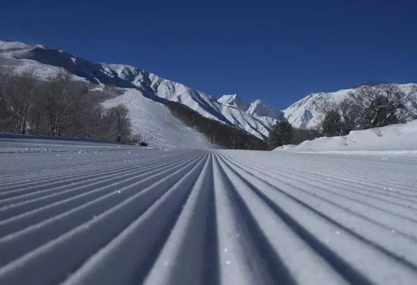 Fotos del hotel Oak Forest:  9