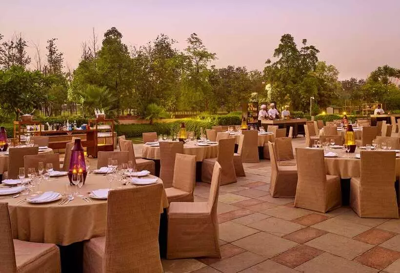 Fotos del hotel Hyatt Regency Chandigarh:  14