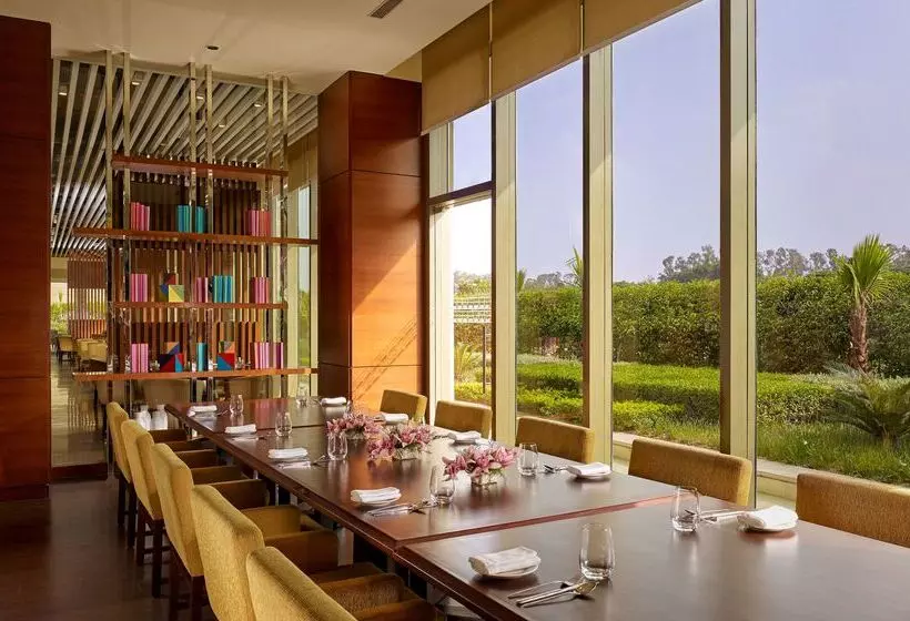 Fotos del hotel Hyatt Regency Chandigarh:  25