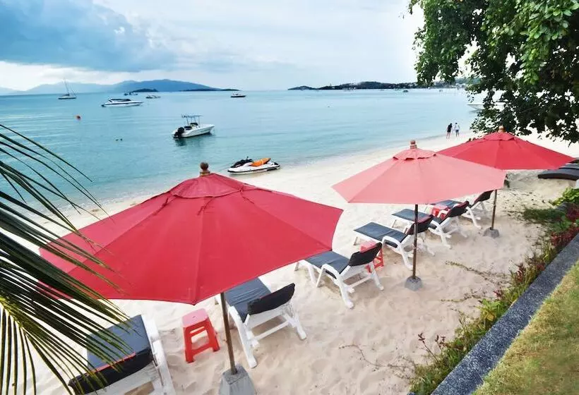 Fotos del hotel Villa Labaron:  18