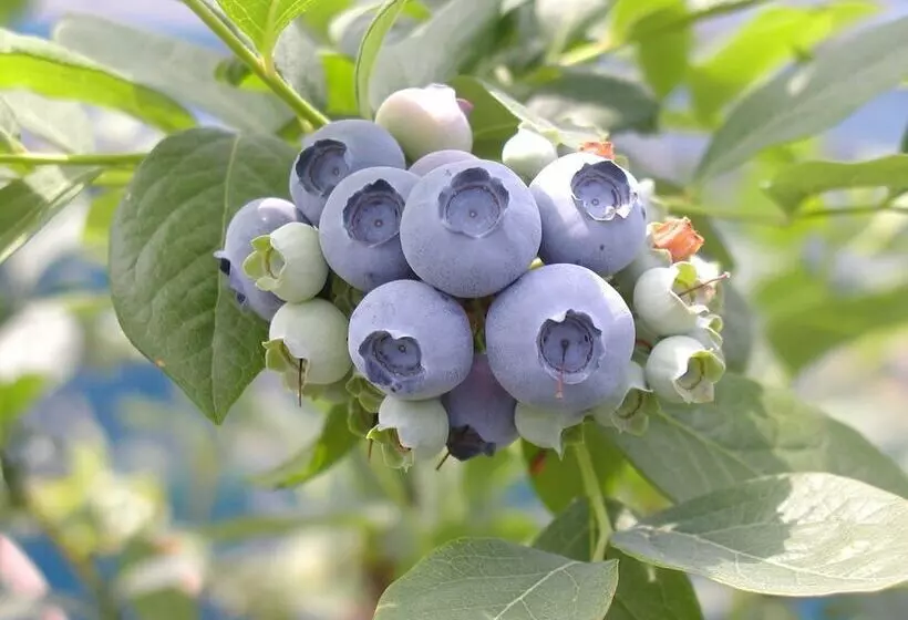 Fotos del hotel Yukai Resort Yataya Shotoen:  23