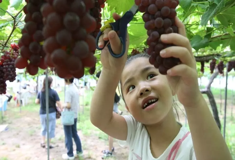 Fotos del hotel Yukai Resort Yataya Shotoen:  15