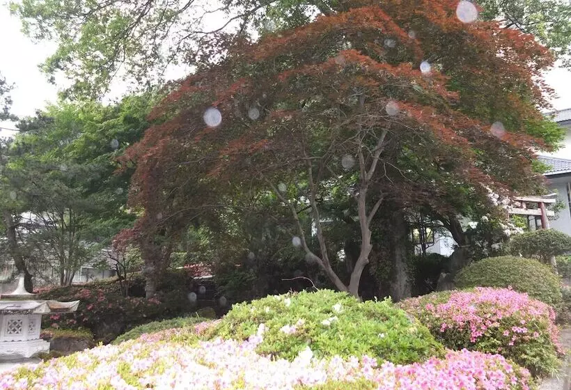 Fotos del hotel Ootaki:  19