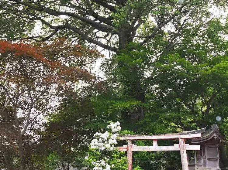 Fotos del hotel Ootaki:  9