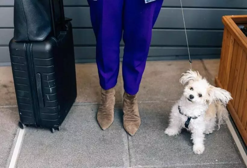 Fotos del hotel Even Midtown East  Grand Central, An Ihg:  16