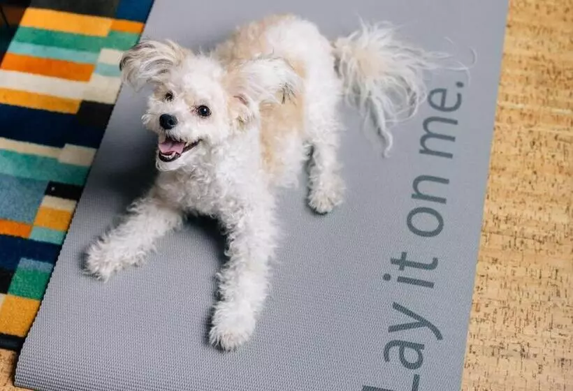 Fotos del hotel Even Midtown East  Grand Central, An Ihg:  11