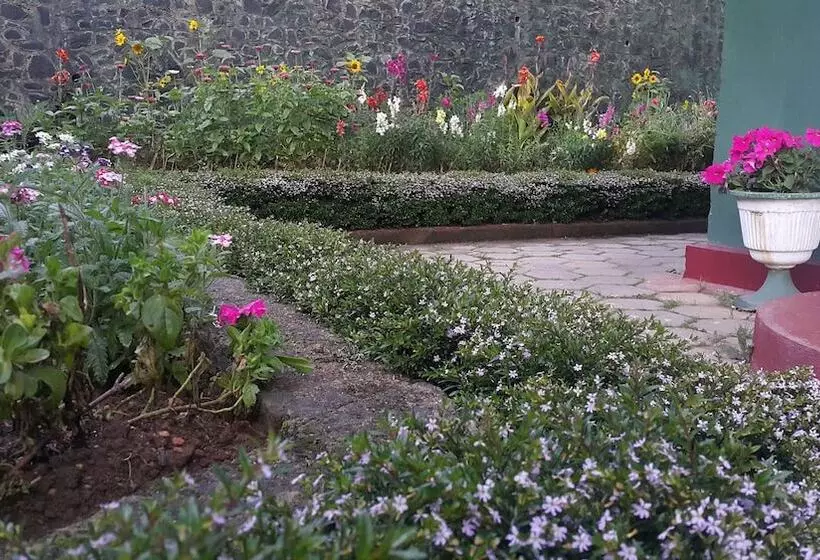 Fotos del hotel Green Stars:  4