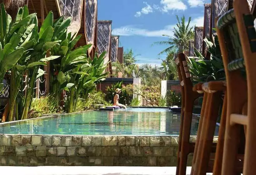 Fotos del hotel Kaleydo Villas:  11