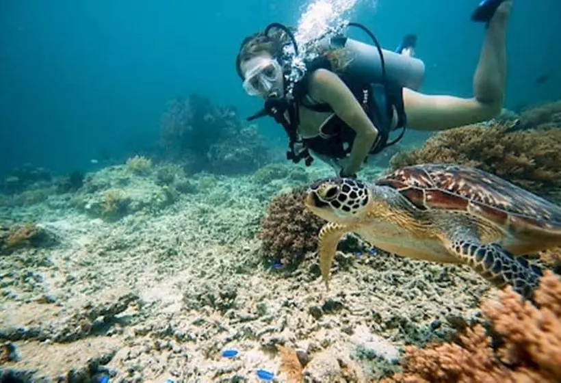 Fotos del hotel Kaleydo Villas:  3