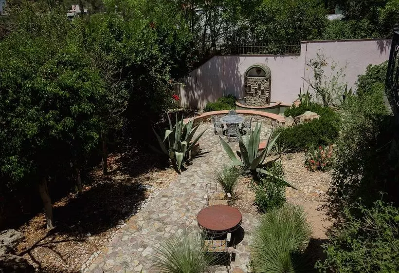 Fotos del hotel Casa Don Pascual:  17