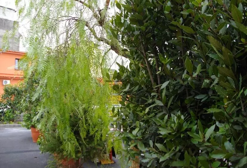 Fotos del hotel La Corte:  14