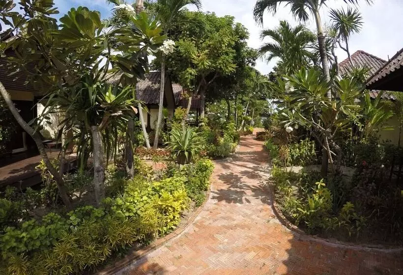 Fotos del hotel Suneast Bungalows:  12