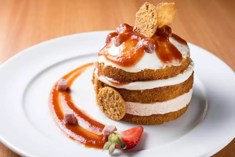 Fotos del hotel Venit Barra:  18