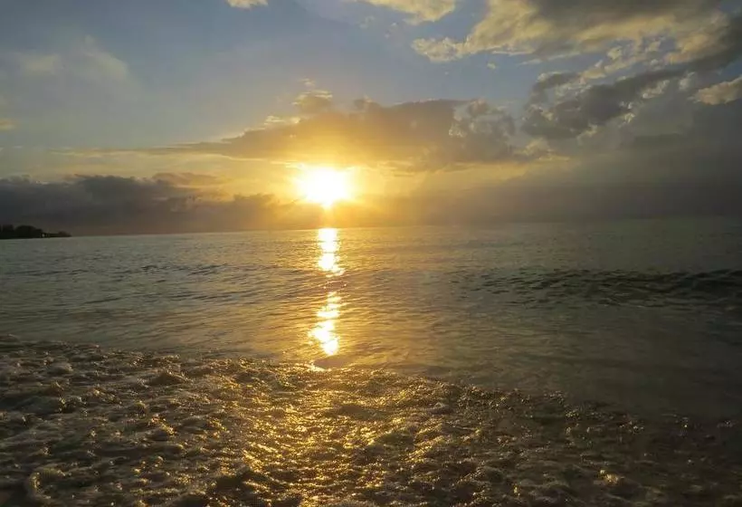 Fotos del hotel A Piece Of Paradise Montego Bay:  6