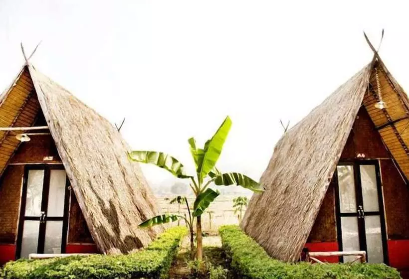 Fotos del hotel Pai Phu Fah:  21