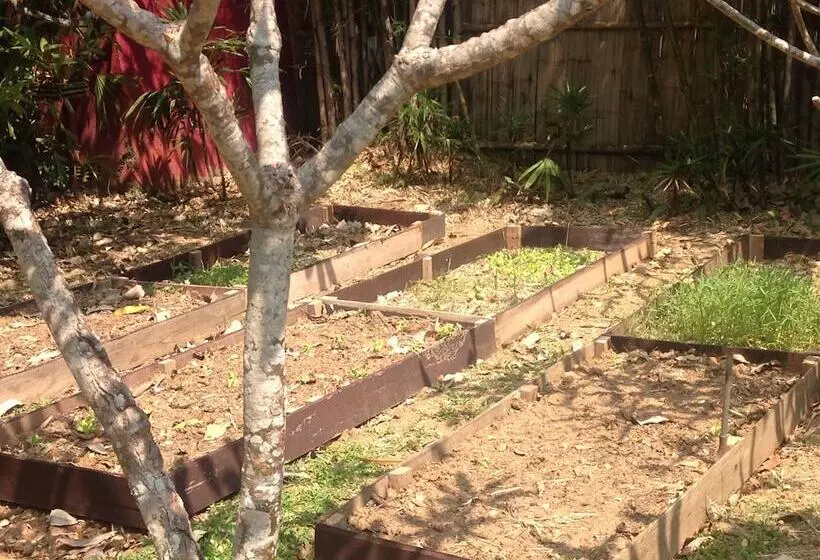 Fotos del hotel Pai Phu Fah:  6