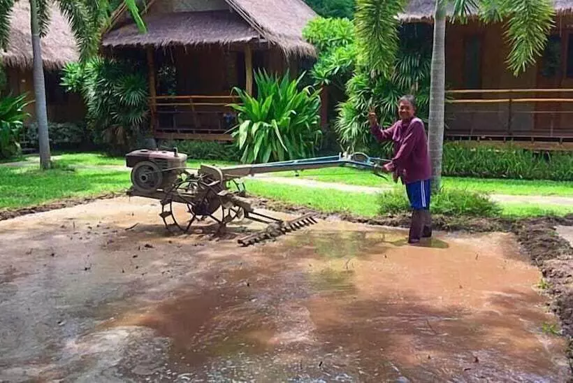 Fotos del hotel Pai Phu Fah:  20