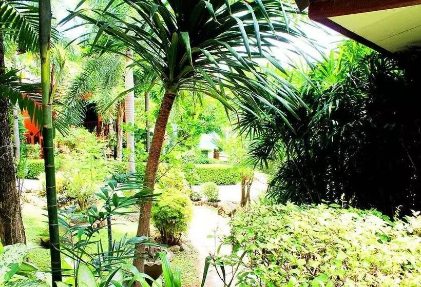 Fotos del hotel Baan Vanida Garden Resort:  12