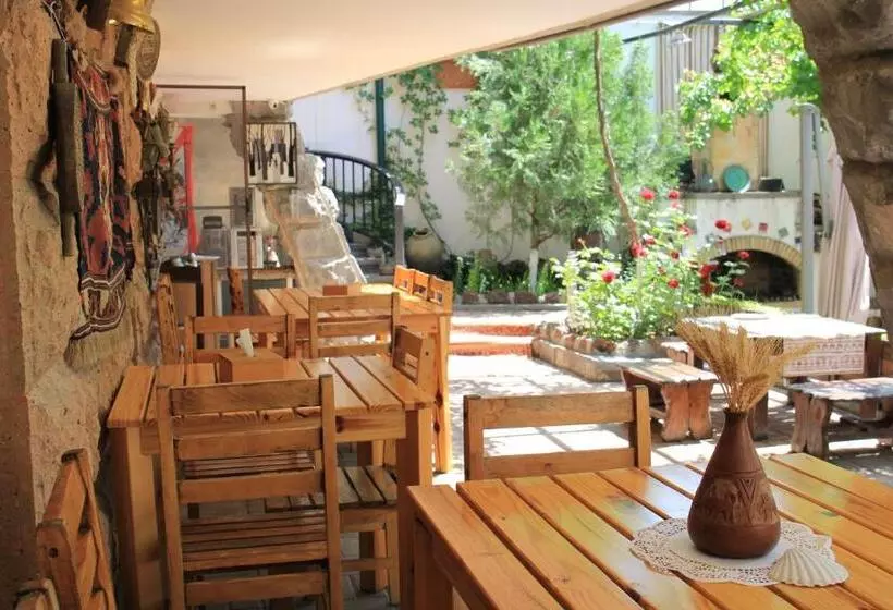 Fotos del hotel Silk Road:  4