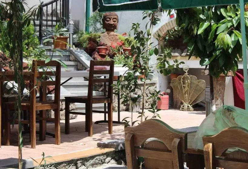 Fotos del hotel Silk Road:  13