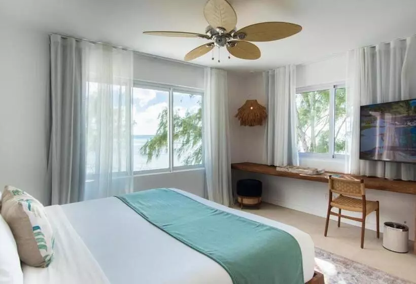 Fotos del hotel Seapoint Boutique:  16