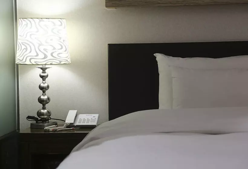 Fotos del hotel Imt:  21