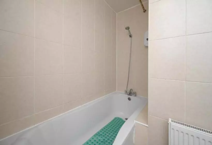 Fotos del hotel Tulsi Apart:  10