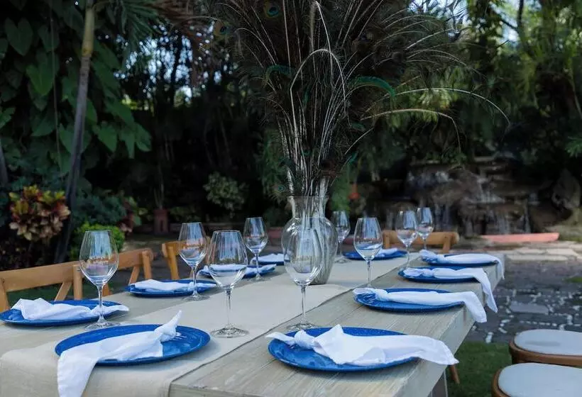 Fotos del hotel Boutique Casa De Campo:  2
