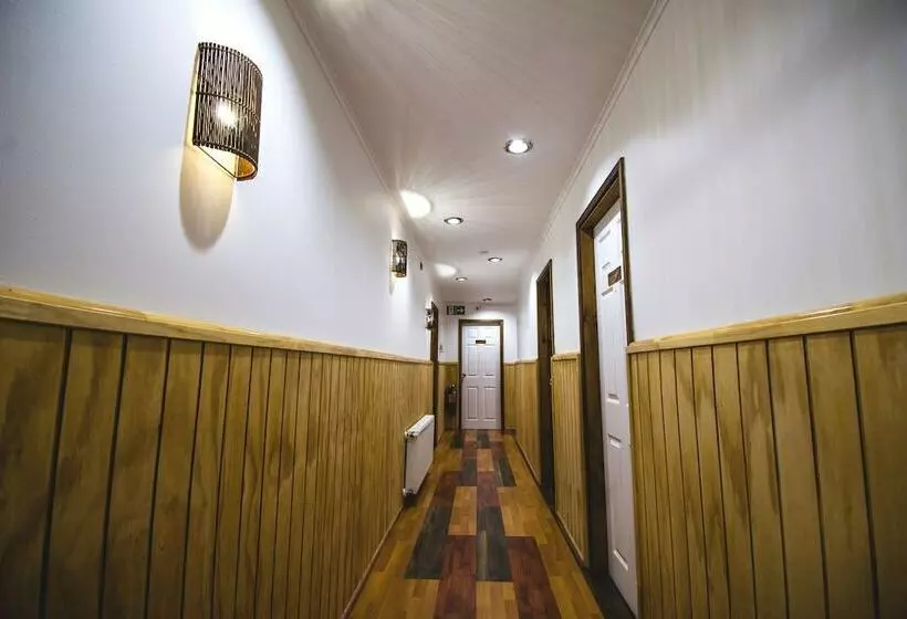 Fotos del hotel Hallef:  2