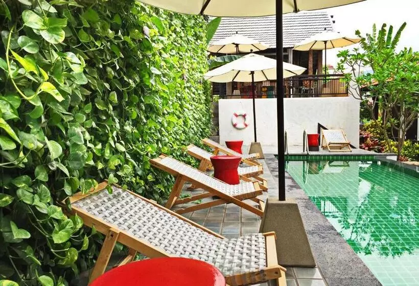Fotos del hotel Baan Saen Fang Chiang Mai:  4