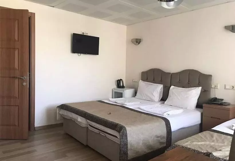 Fotos del hotel Milano  & Spa:  6
