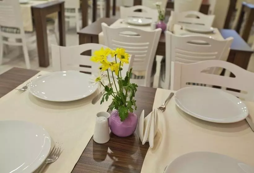 Fotos del hotel Celikhan:  5