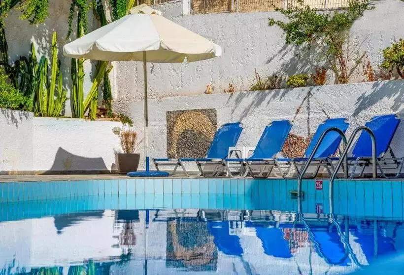 Fotos del hotel Amazona:  23