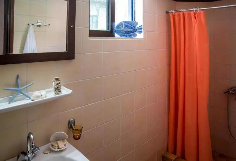 Fotos del hotel Amazona:  13