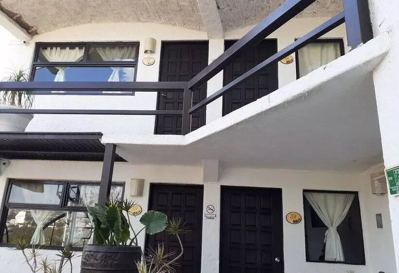 Fotos del hotel Casa Blanca San Miguel:  6