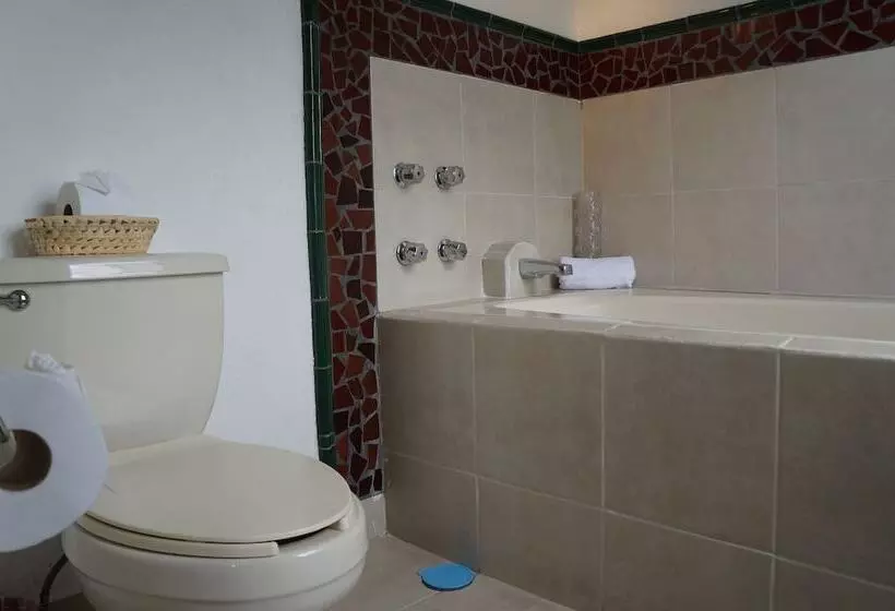 Fotos del hotel Casa Blanca San Miguel:  11