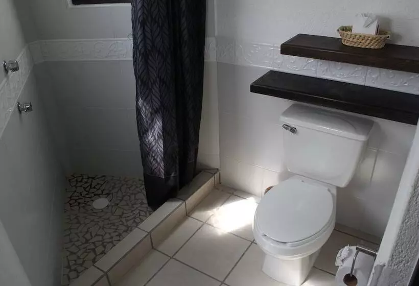Fotos del hotel Casa Blanca San Miguel:  5
