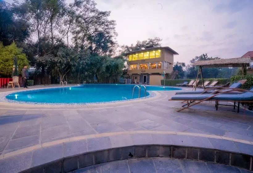 Fotos del hotel Jungle Crown:  8
