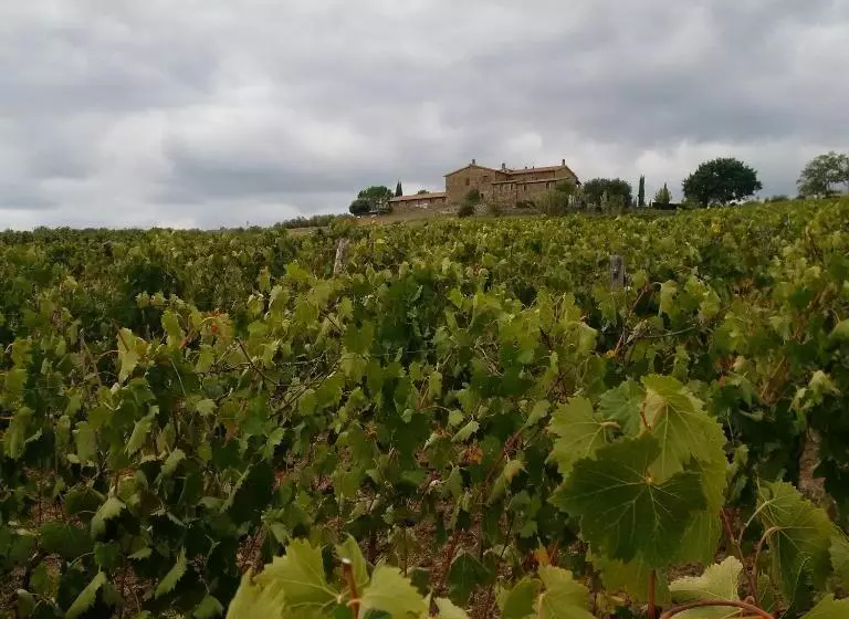 Fotos del hotel Podere Del Vescovo:  12