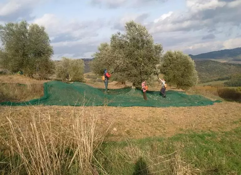 Fotos del hotel Podere Del Vescovo:  14