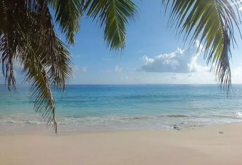 Fotos del hotel Caranabeach:  17