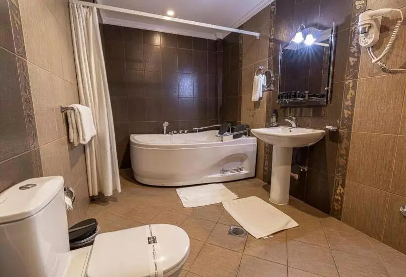 Fotos del hotel Platinum Seventy:  31