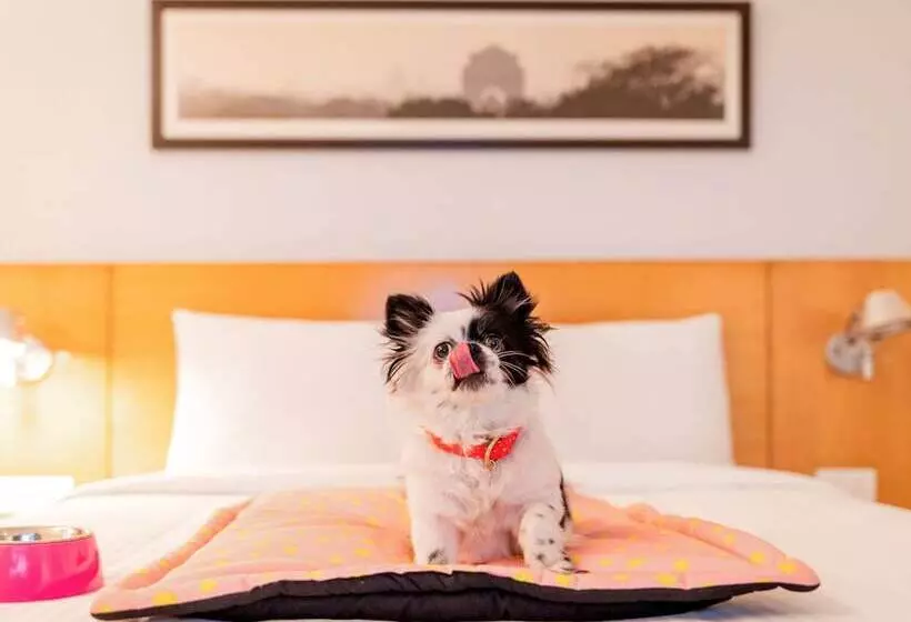 Fotos del hotel Ibis Hyderabad Hitech City:  16
