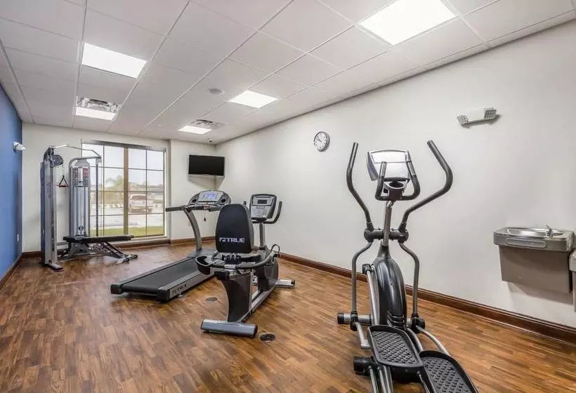 Fotos del hotel Comfort Suites Houston I45 North:  5