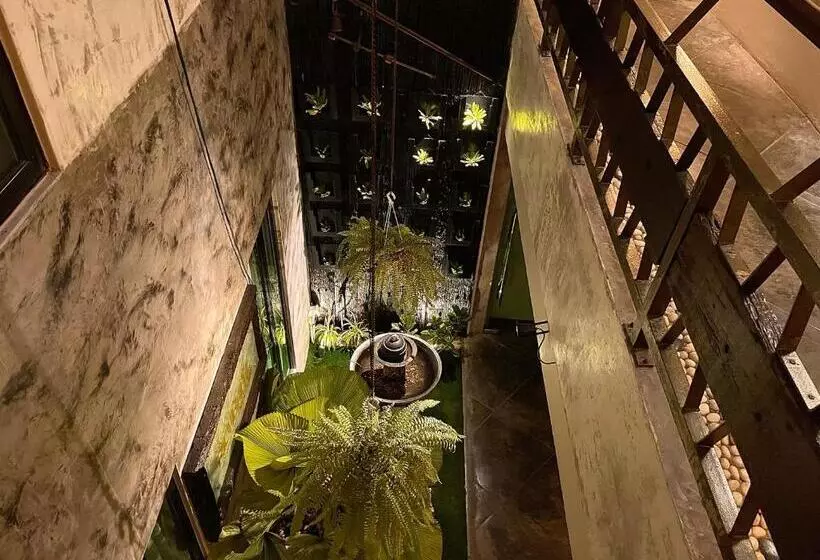 Fotos del hotel Richbaliz:  8