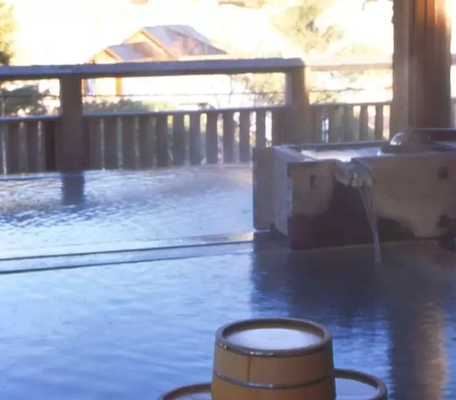 Fotos del hotel Manza Onsen Nisshinkan:  13