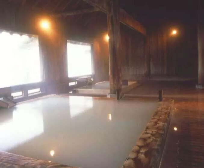 Fotos del hotel Manza Onsen Nisshinkan:  24