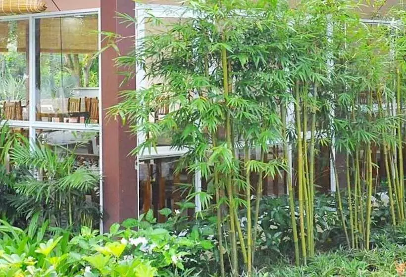Fotos del hotel Santa Garden Resort:  25