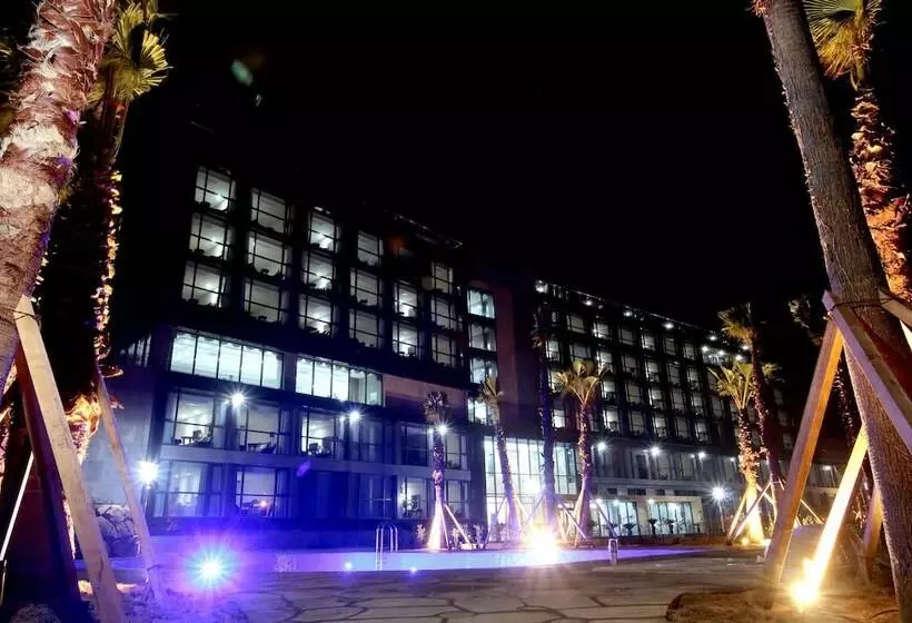 Fotos del hotel Tamna Stay  Jeju:  2